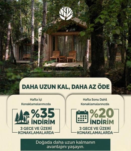 Longosphere Glamping - 4