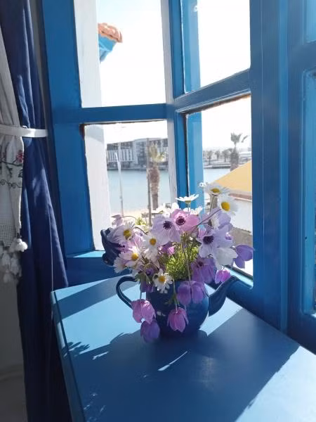 Oda Resmi
