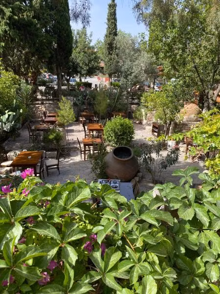 Medusa House Didim - 1