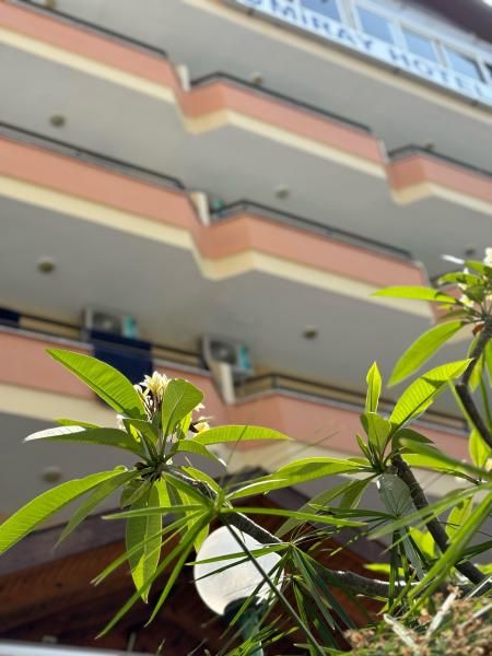 Miray Hotel Kleopatra - 1