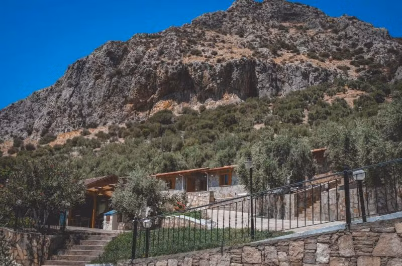 Natureland Efes Pension — 7
