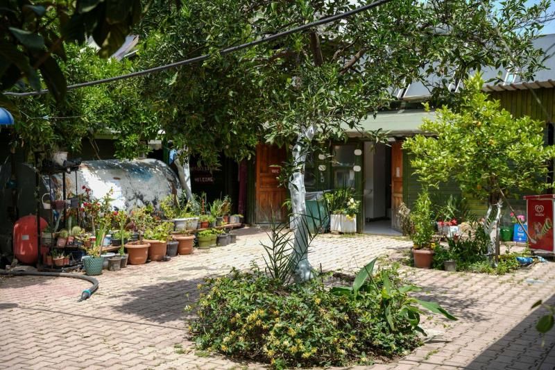 Olympos Zeytin - 1
