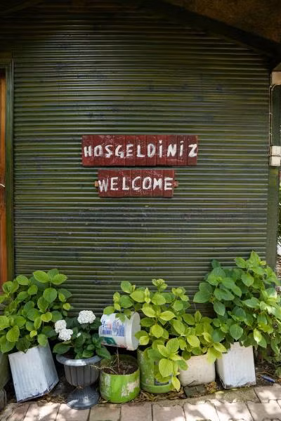 Olympos Zeytin - 2