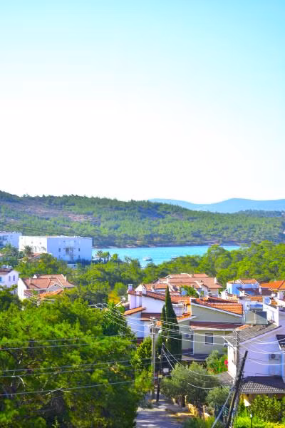 Paşa Konağı Sarımsaklı - 1