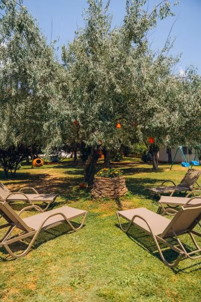 Palm Beach Otel Küçükkuyu - 4