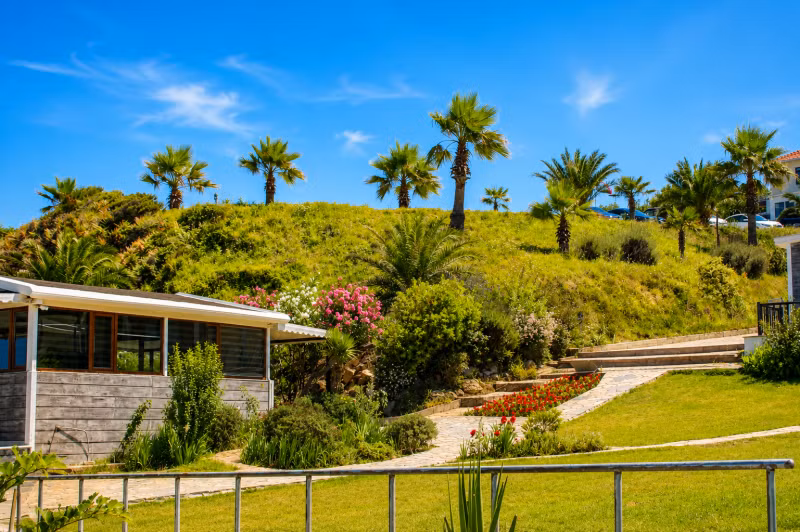 Palm Beach Şile - 1