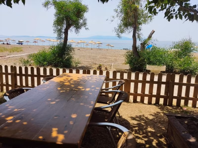 Palmiye Otel Özdere - 3