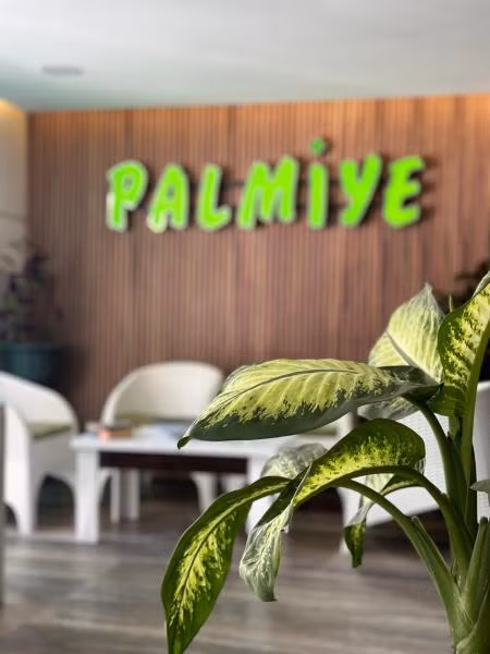 Palmiye Suit Otel Kızkalesi - 3