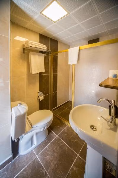 Palmyra Boutique Hotel - 3