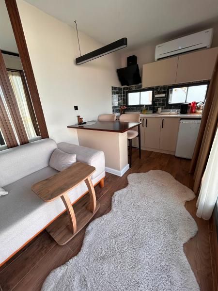 Samsun Pandora Delux — 9