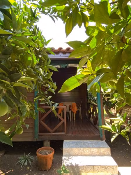 Oda Resmi