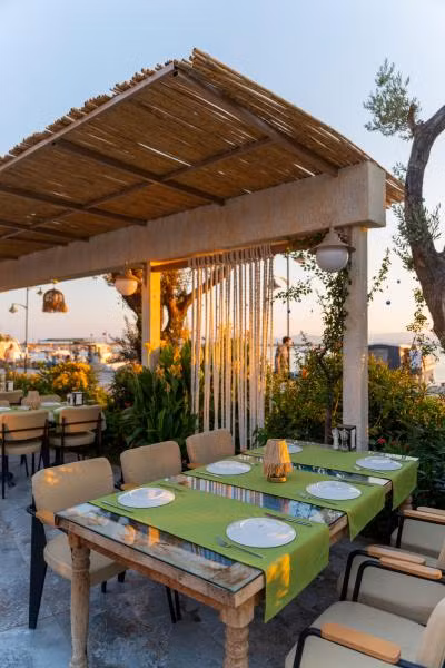 RAOtel — 6