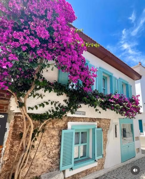 Sığacık Gardenya Butik Otel (Adult Only +12) - 3