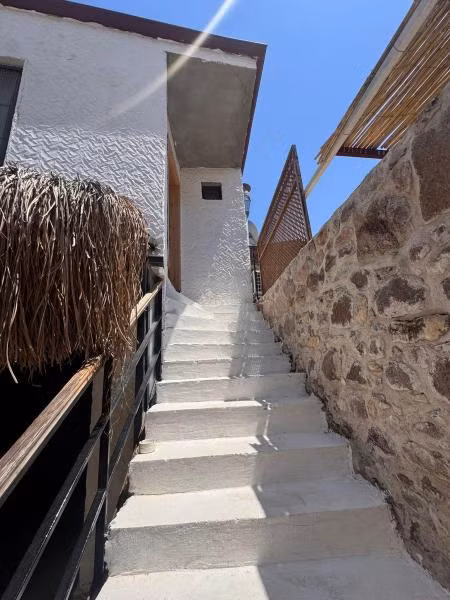 Oda Resmi