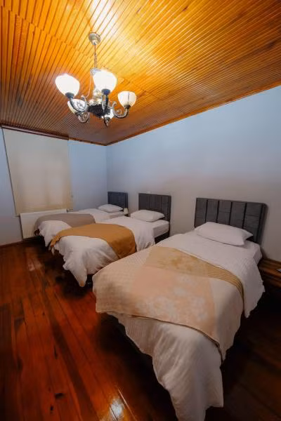Sapanca Royal Palace — 9