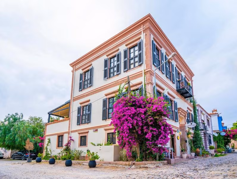 Siyah Lale Cunda 1841