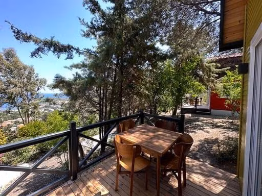 Oda Resmi