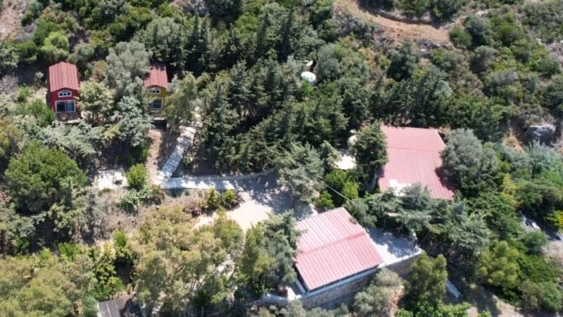 Sole Foça - 1