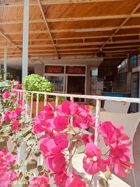 Soli Kıyı - 1
