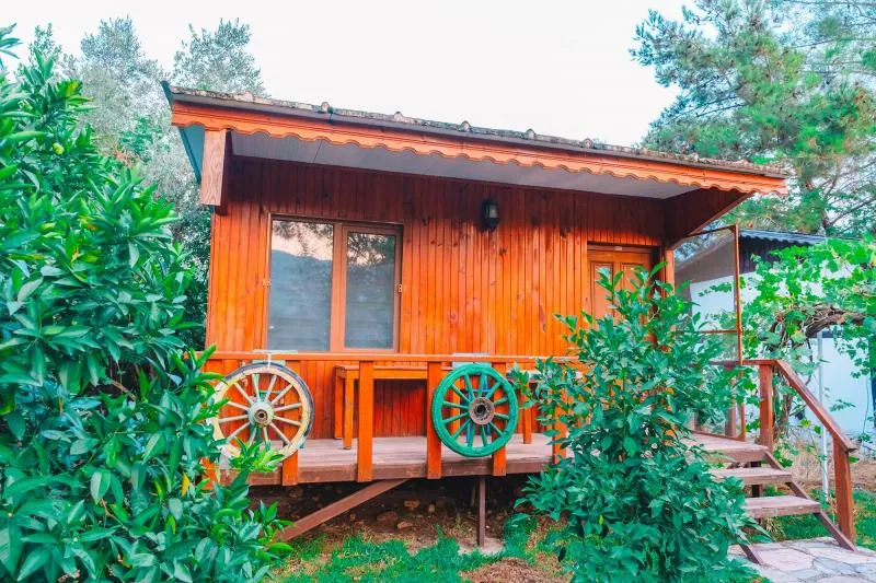 Sunthalia Olympos - 2