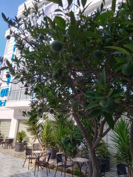 Taflan Otel - 2