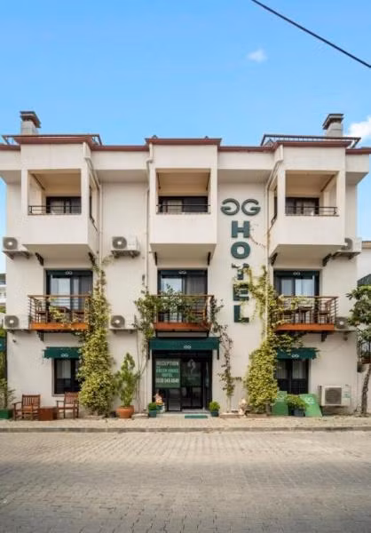 The Green Goose Hotel - 1