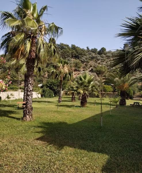 The Palm Apart Sarigerme - 2