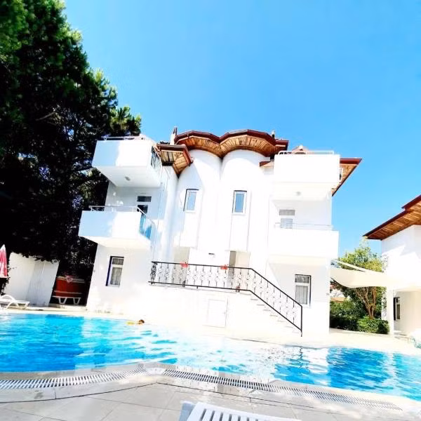 Tolan Apart - 4