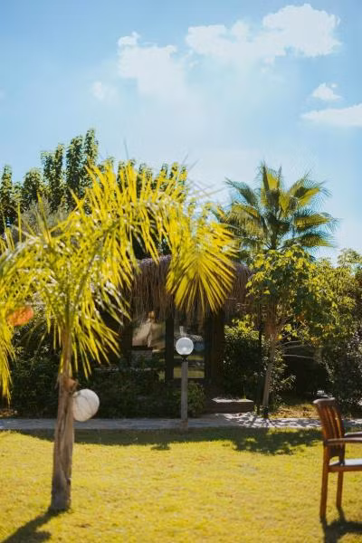 Turkuaz Bungalows - 2