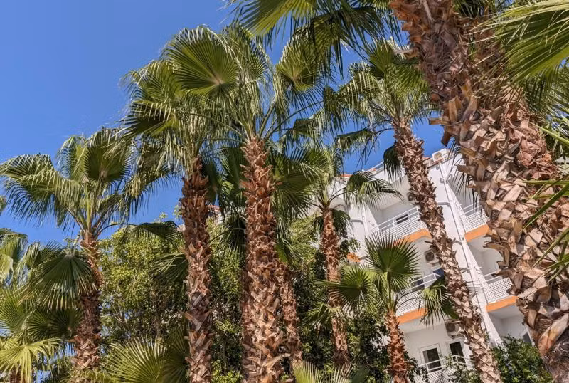 Uk Hotel Kiriş - 3