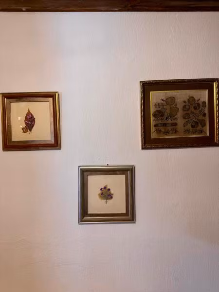 Oda Resmi