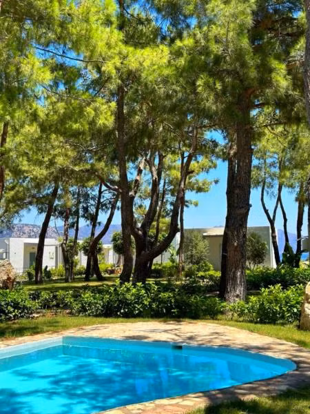 Z Villas Beach Hotel - 3
