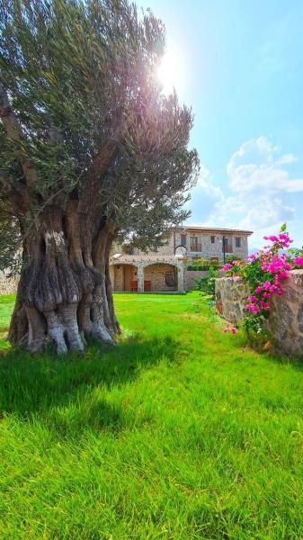 Zeyt Inn Hotel Datça - 3