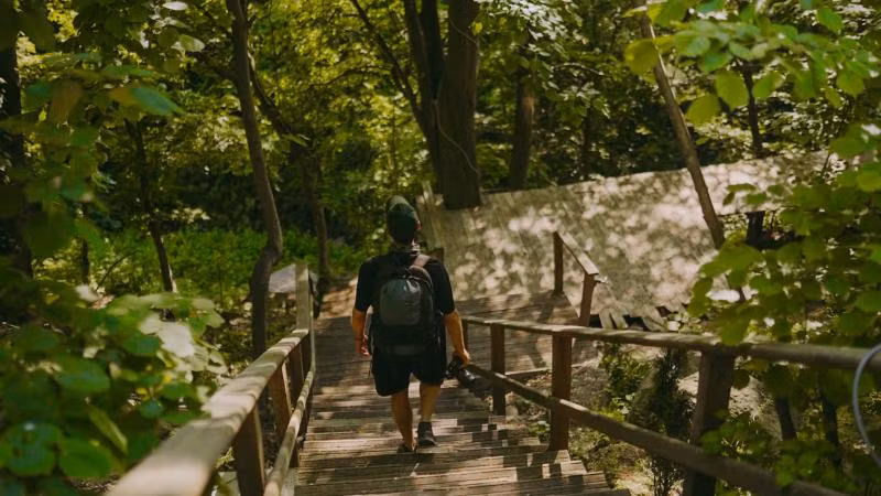 The Canyon - 4