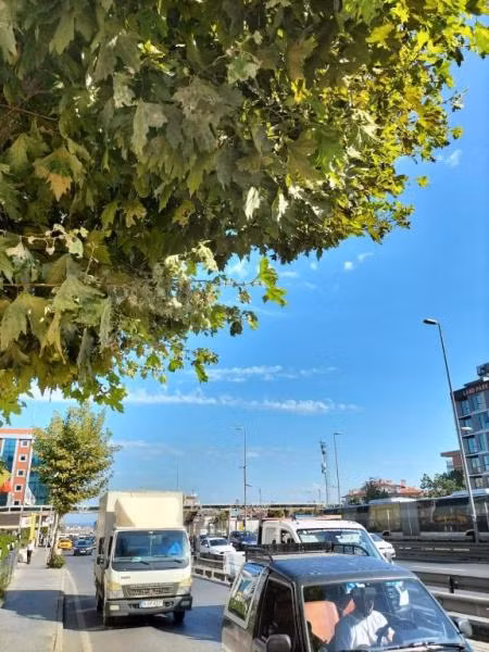 İstanbul Dedem Hotel - 3