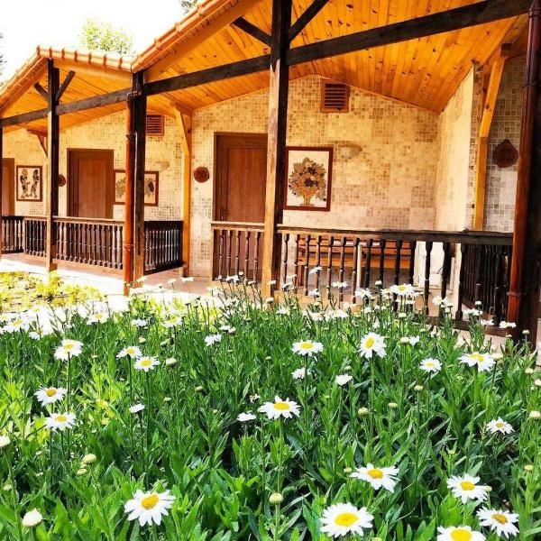 Likya Adrasan - 1