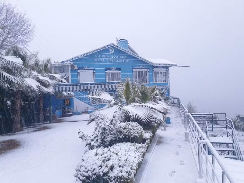 Dolphin Boutique Hotel - 4
