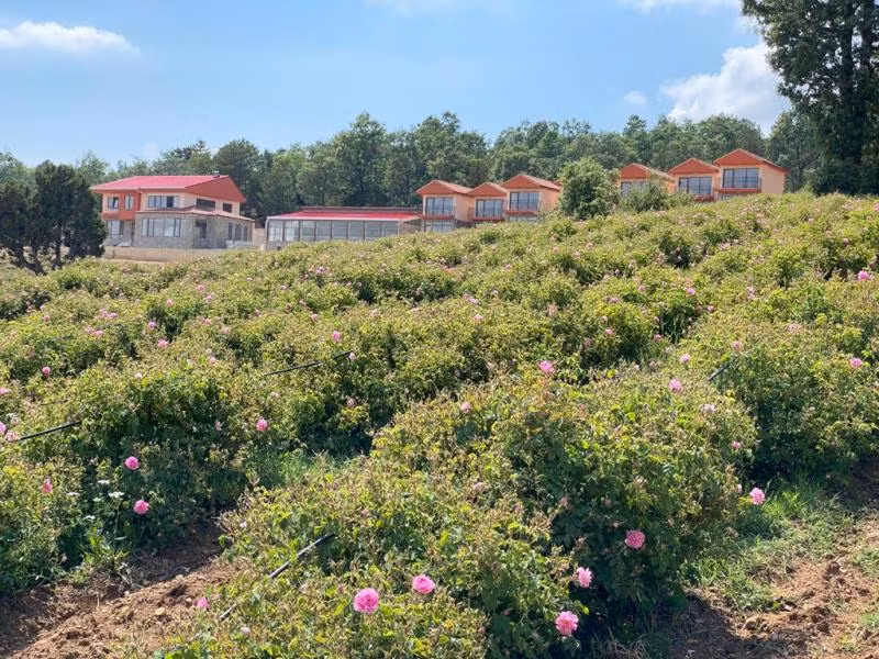 La Vie En Rose Otel — 3