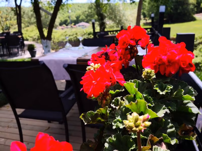 HBS Life & Garden Polonezköy - 1