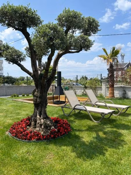 Royalova Hotel — 2