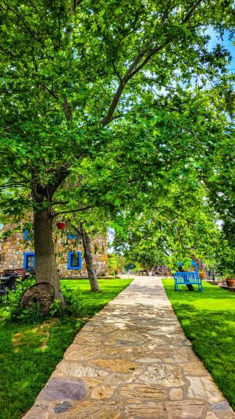 Ataol Tatil Çiftliği - 4