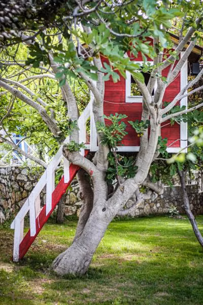 Ataol Tatil Çiftliği - 1