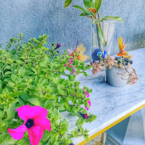 HBS Life & Garden Polonezköy — 6