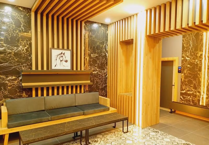 Dinamik Apart Otel Sarıkamış - 3