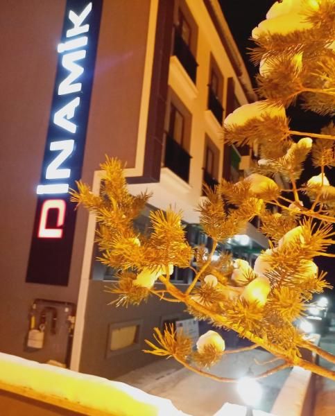 Dinamik Apart Otel Sarıkamış - 1