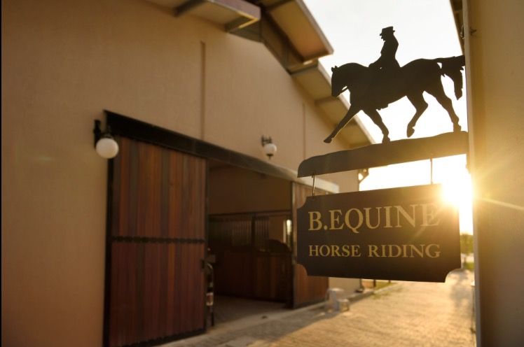 B Equine Range Hotel Narlıdere — 3