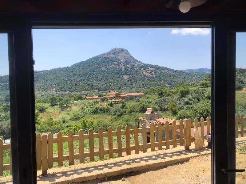 Oda Resmi
