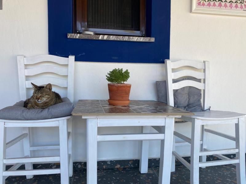 Pelin Inn Ada Evi — 7