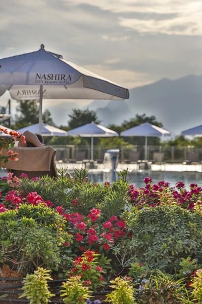 Nashira City Resort Hotel - 1