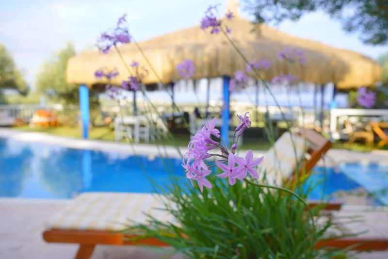 Aeneas Hotel - 3